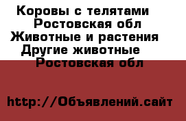 Коровы с телятами. - Ростовская обл. Животные и растения » Другие животные   . Ростовская обл.